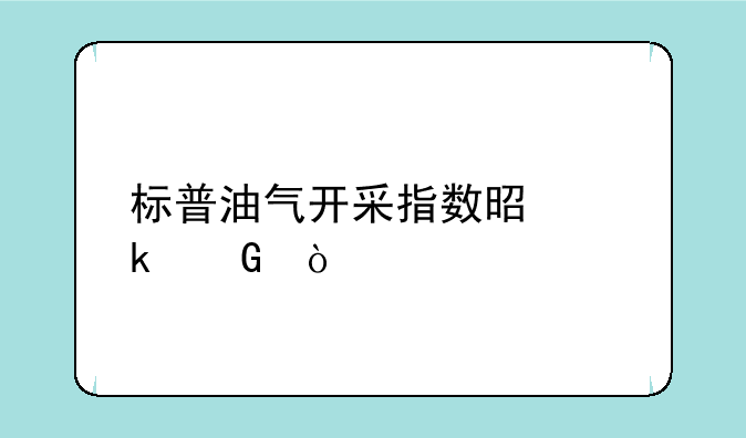 标普油气开采指数是多少？