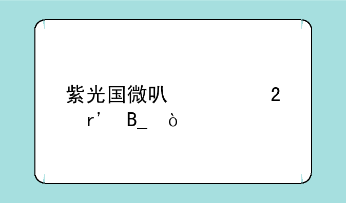 紫光国微可以继续持有吗？