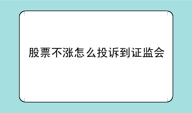 股票不涨怎么投诉到证监会