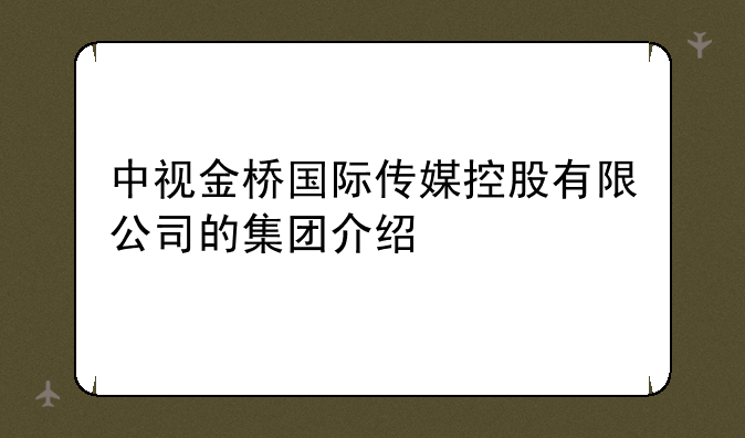 中视金桥国际传媒控股有限公司的集团介绍