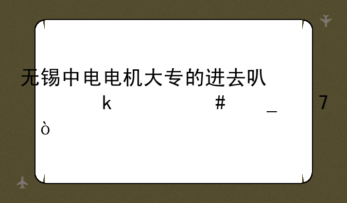 无锡中电电机大专的进去可以做什么岗位？