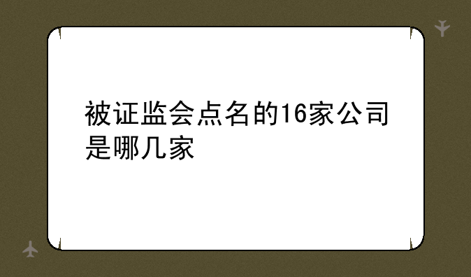 被证监会点名的16家公司是哪几家