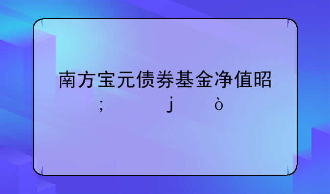 南方宝元债券基金净值是怎样的？