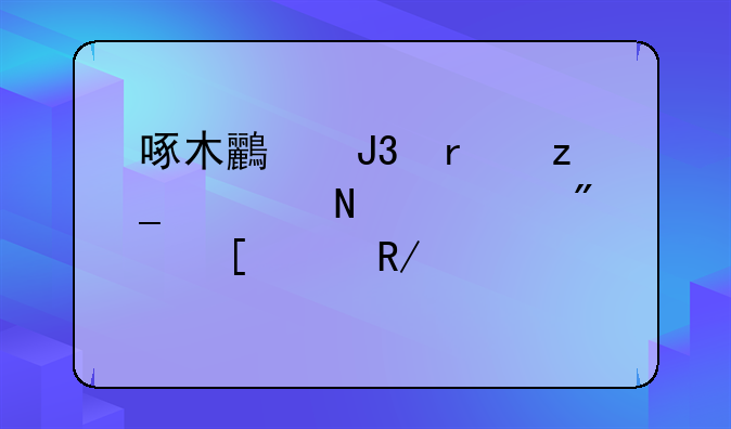 啄木鸟和木林森哪款户外冲锋衣好