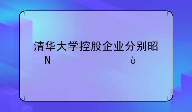 清华大学控股企业分别是哪几家？