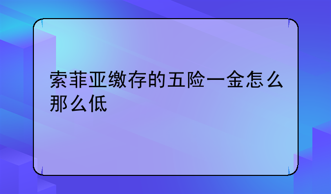 索菲亚缴存的五险一金怎么那么低