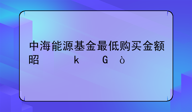 中海能源基金最低购买金额是多少？