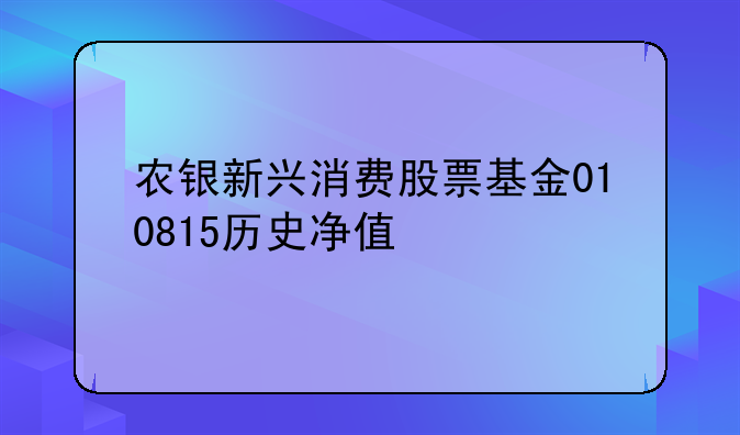 农银新兴消费股票基金010815历史净值