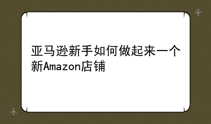 亚马逊新手如何做起来一个新Amazon店铺