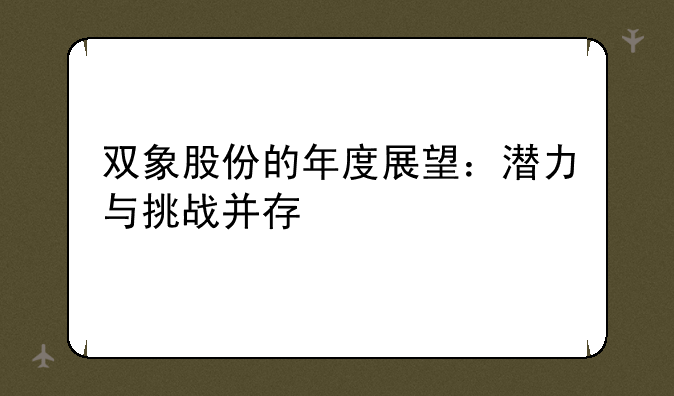 双象股份的年度展望：潜力与挑战并存