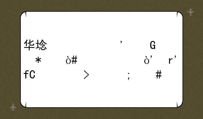 华域视觉科技（上海）有限公司怎么样