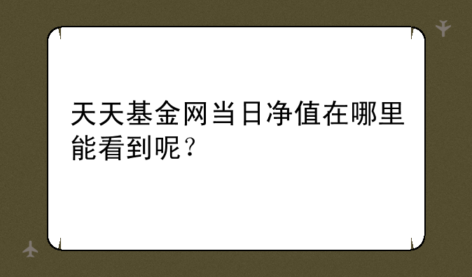 天天基金网当日净值在哪里能看到呢？