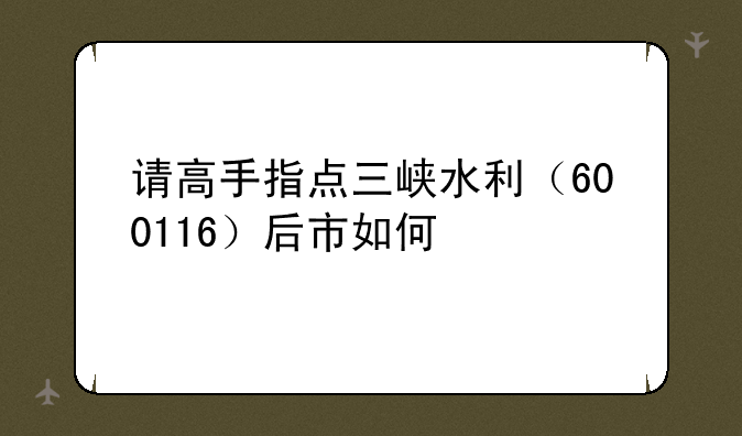 请高手指点三峡水利（600116）后市如何