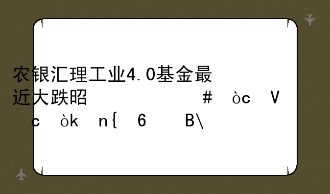 农银汇理工业4.0基金最近大跌是什么缘故,还会回升吗?