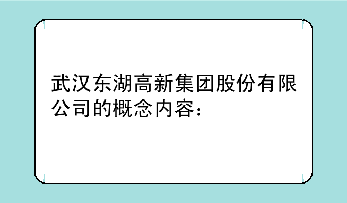 武汉东湖高新集团股份有限公司的概念内容：