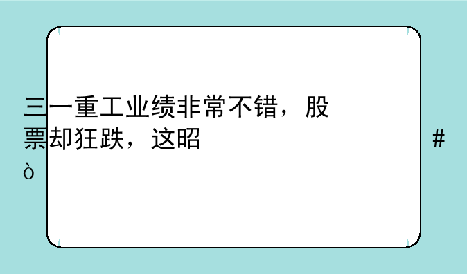 三一重工业绩非常不错，股票却狂跌，这是为什么？