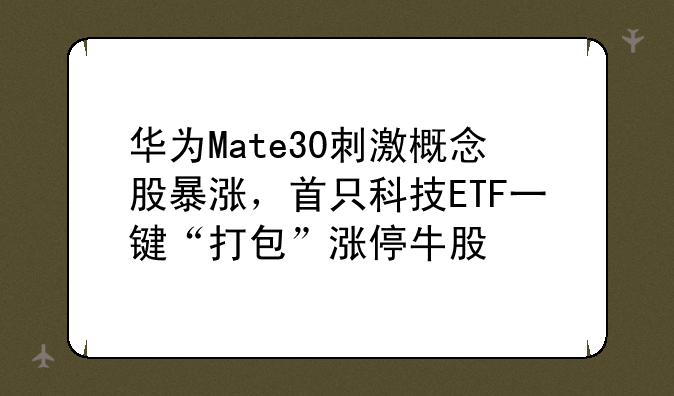 华为Mate30刺激概念股暴涨，首只科技ETF一键“打包”涨停牛股