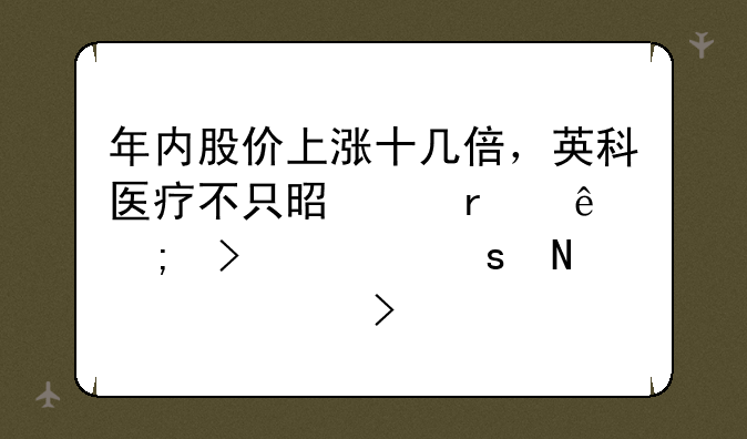 年内股价上涨十几倍，英科医疗不只是踩在了风口上｜品质公司