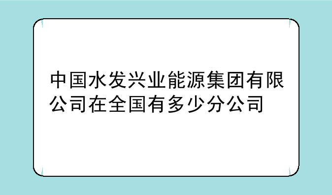 中国水发兴业能源集团有限公司在全国有多少分公司